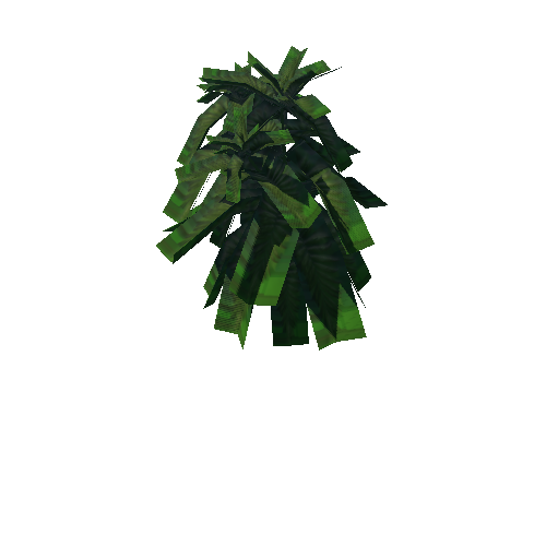 07-GreenFern03 TropicalShrub04